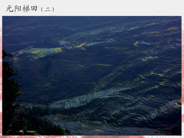 点击查看原图