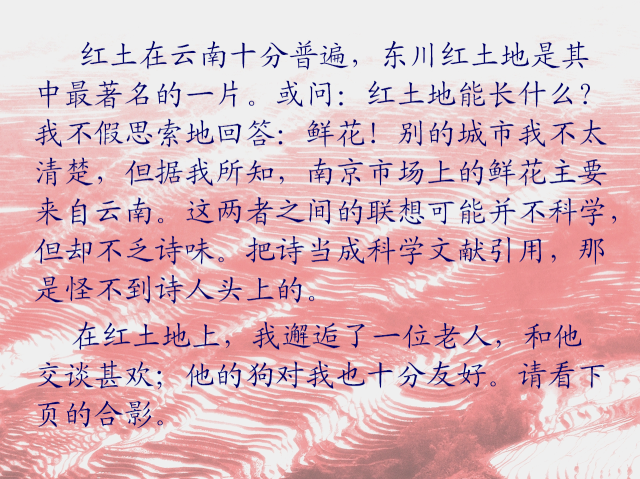 点击查看原图